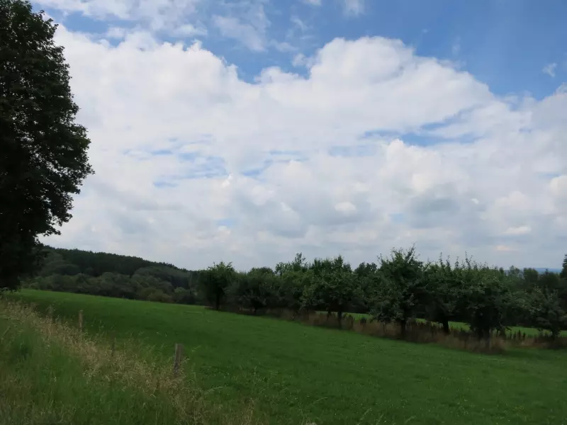Siegen (c) Markus Lenk